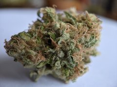 Pineapple Critical #1