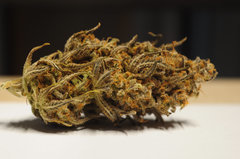 Fast Flowering Green Crack de HSO