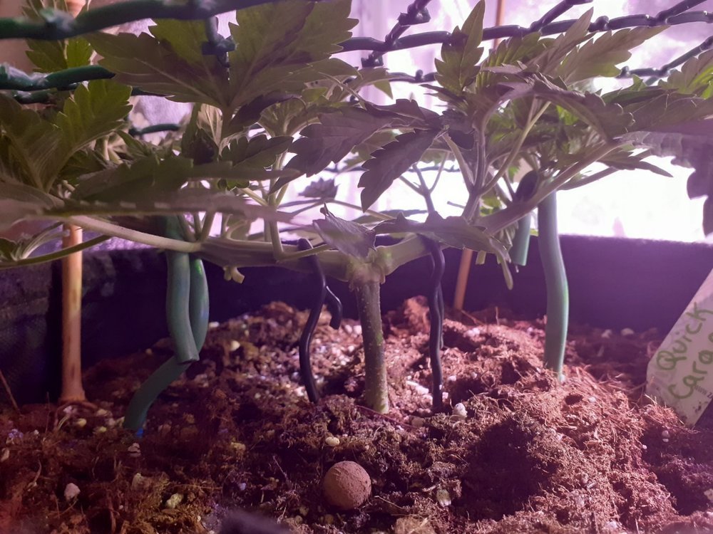 20210317_201239.jpg