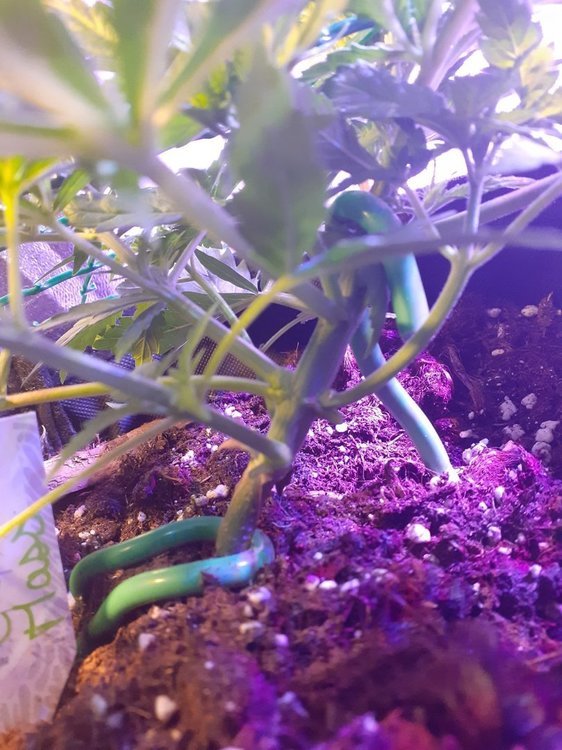 20210317_201508.jpg