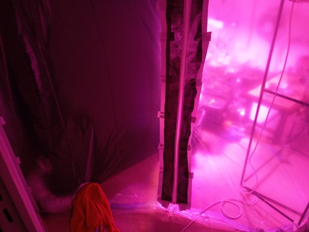 P10319-183740.jpg