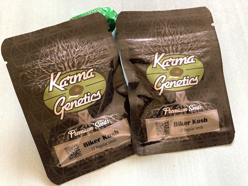 large.1911232695_KarmaBikerKushSeeds1.jpg.8fd36dcff63d0071d147bad5dcd6a1d1.jpg
