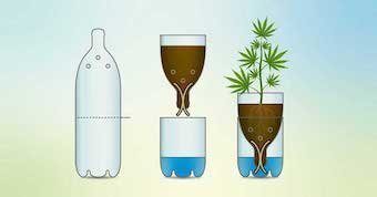 large.Easy-Wick-System-For-Watering-Cannabis-Plants.jpg