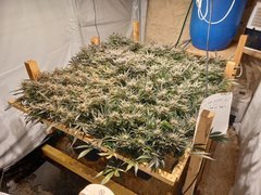 20210314_185129.jpg
