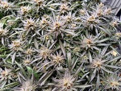 20210314_185202.jpg