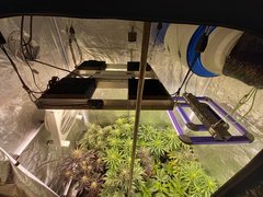 20210324_163753.jpg