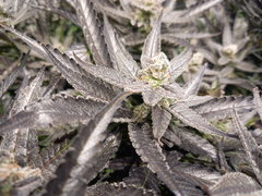 20210330_202241.jpg