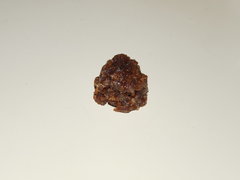 ICE O Meat the cookies