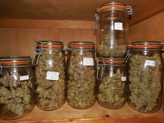 DSCN5940.JPG