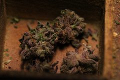 Chocolate Zkittles mise en boite ^!