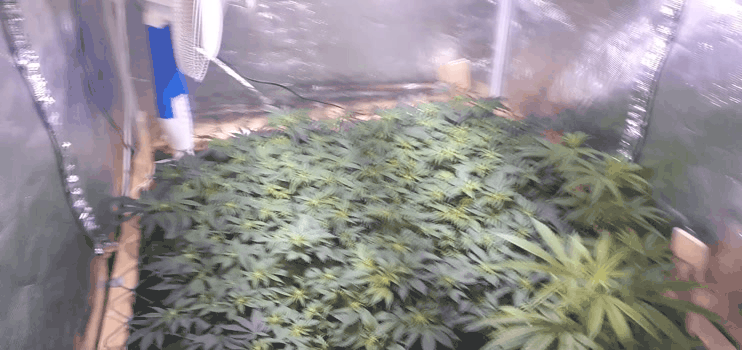 20210410_191832.gif.db11981706b89c68c78ce0a99ec340cf.gif