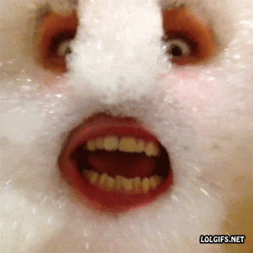 33684694_tenor-2021-04-12T195832_076.gif.2a1572e8f0be6a3c92b283c1e816299a.gif