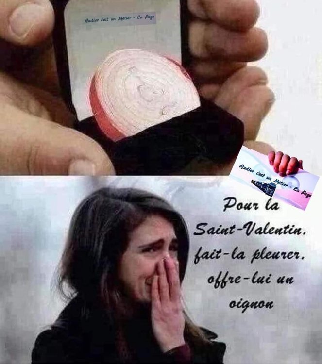 FB_IMG_1613287411645.jpg
