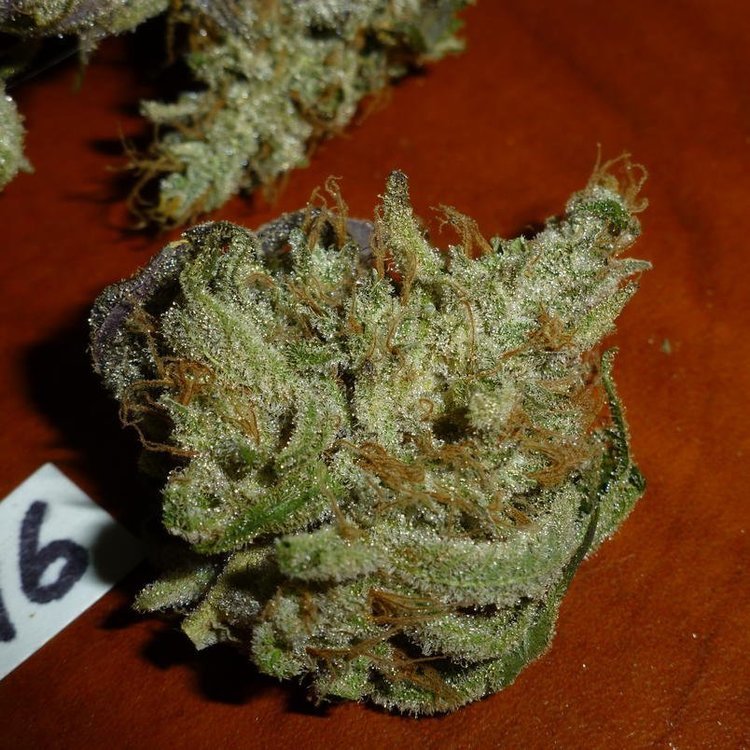 Mix-M6...thumb.jpg.0b8b9bf504556883a3d9fa4a5f81d7a4.jpg