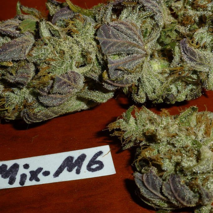 Mix-M6.jpg.61f02354bc4d61159da4a65f57569e60.jpg