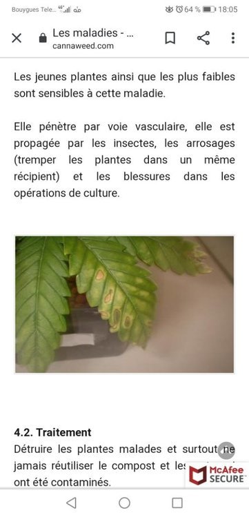 Screenshot_20210409_180515_com.android.chrome.thumb.jpg.c40b673dc80b62164498932586c4bf99.jpg