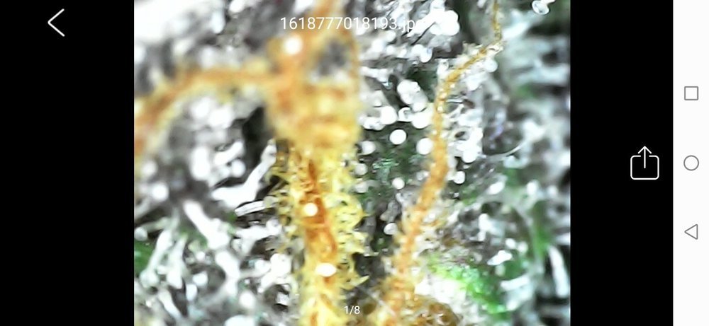 Screenshot_20210418_222802_com_cpwb.usbcamera.thumb.jpg.145511b0e5ea0143bbc8fe245814aa06.jpg