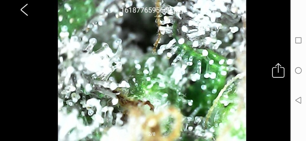 Screenshot_20210418_222812_com.cpwb.usbcamera.jpg