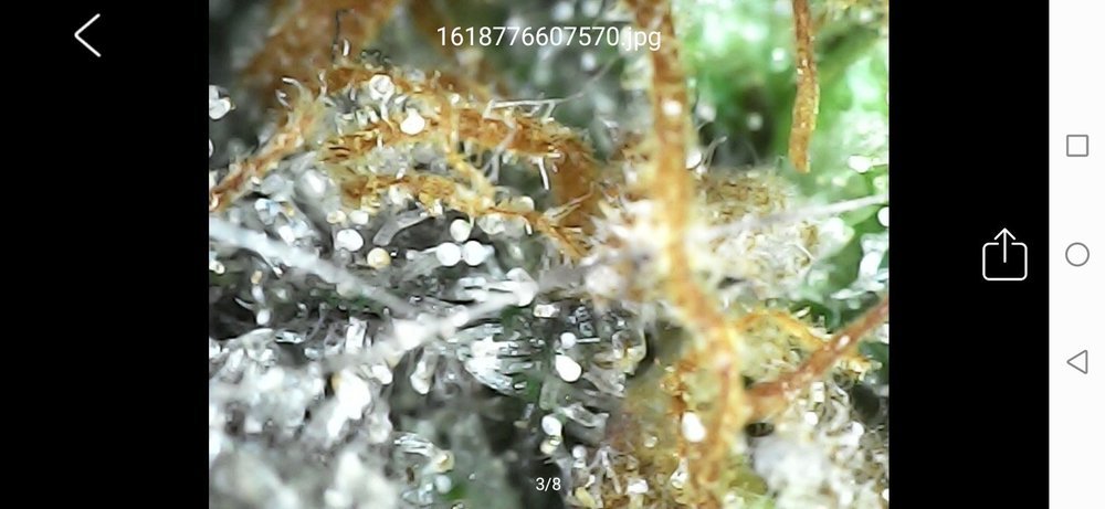 Screenshot_20210418_222815_com_cpwb.usbcamera.thumb.jpg.e9828069c0146221b35fde3a87715926.jpg