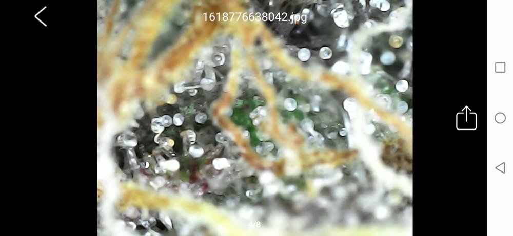 Screenshot_20210418_222818_com_cpwb.usbcamera.thumb.jpg.7a65154b2b471df65a2ef8e466cc2be0.jpg