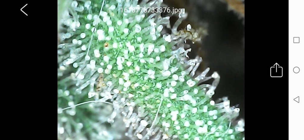 Screenshot_20210418_222826_com_cpwb.usbcamera.thumb.jpg.589fa0e3d4d4e88a87c539f00249ce13.jpg