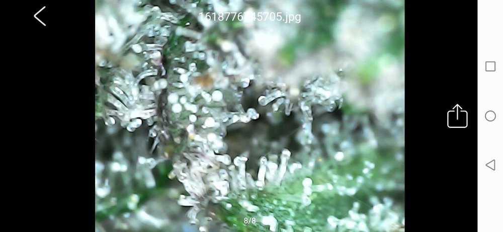 Screenshot_20210418_222829_com_cpwb.usbcamera.thumb.jpg.8035632dfad3a76b4c420d9bc32d5de7.jpg