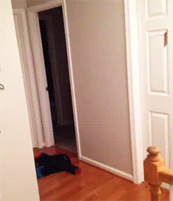 door.gif.3c88b977e025dfec8356e7bb41986455.gif