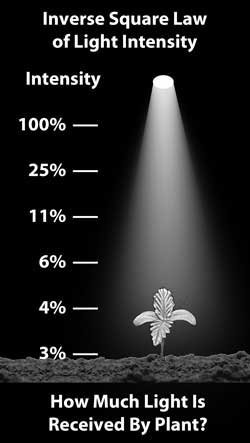 inverse-square-law-light.jpg.ce9a296472ae974a7dad9cd1762ab661.jpg