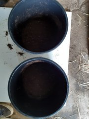 20210428_102529.jpg