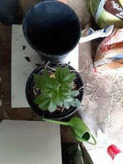 20210428_103845.jpg
