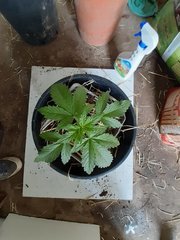 20210428_104852.jpg