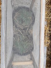 20210428_105705.jpg