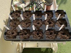 Trait de 15 trous - Préparation et mise en place