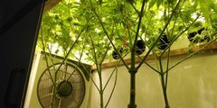 IMG_20210422_145025.jpg