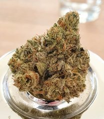 Bodhi Seeds Sky Lotus