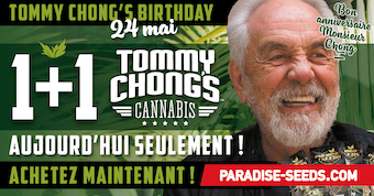 1 1-TommyChong's-Birthday-1200x628-FR.png
