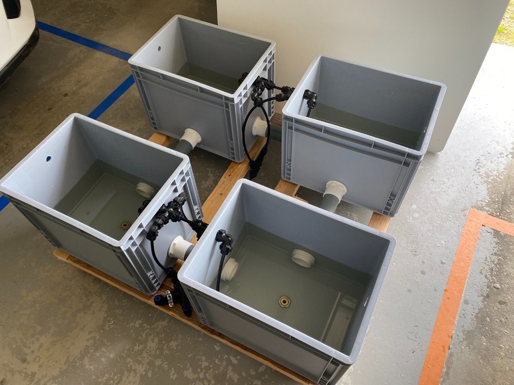 1F1E27D1-9387-4105-AEC7-178A1DA2A3BE.jpeg