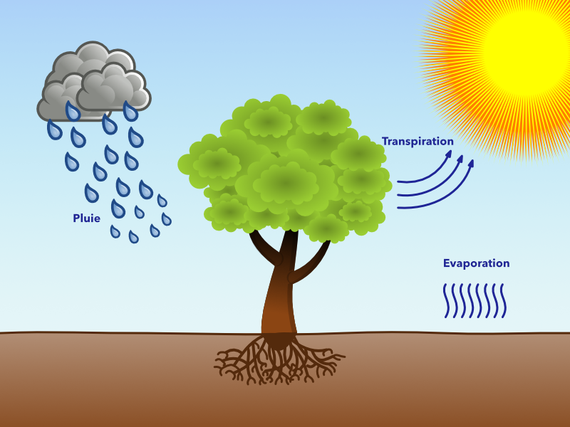 ETP.png.3ebff4a932142cb40aab622ecc4b77ac.png