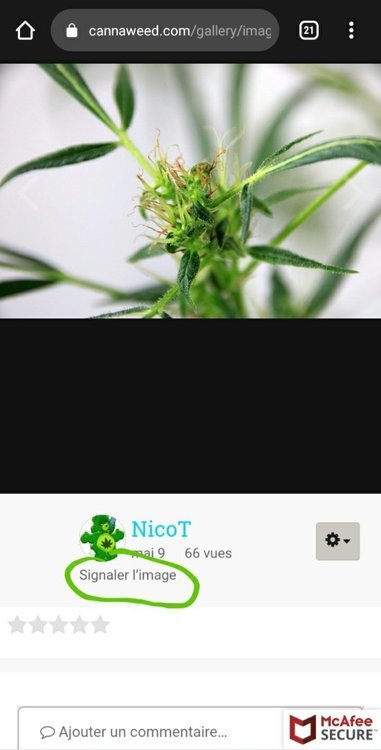 Screenshot_20210527-091112_Chrome.thumb.jpg.265b7d7036a305f2a28970c7f05f81f9.jpg