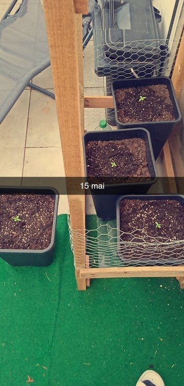 Snapchat-1163584163.thumb.jpg.20161a7bc6147343ad447b3126abd187.jpg