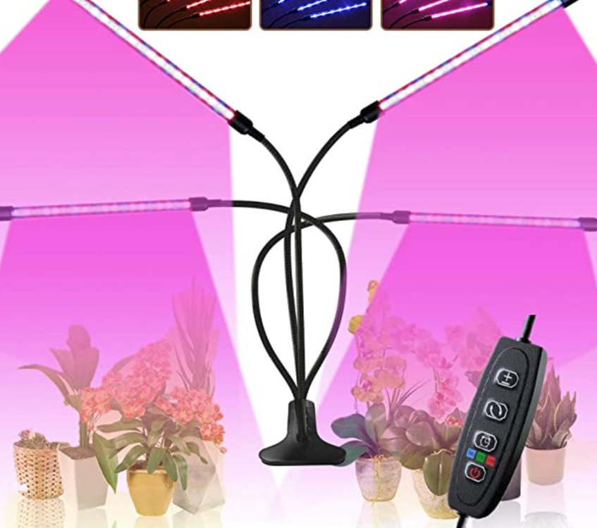 image.thumb.png.401c7a5fcc0b2b91d1246d2bddd642a8.png
