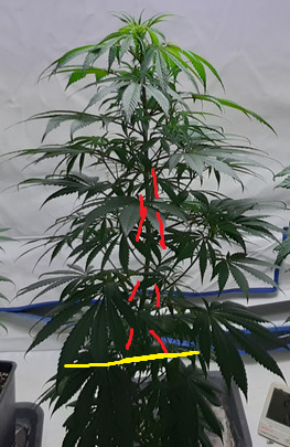 image_2021-05-31_230910.png.bbbfff9130d044bd5673b2ca4dcc4d7d.png