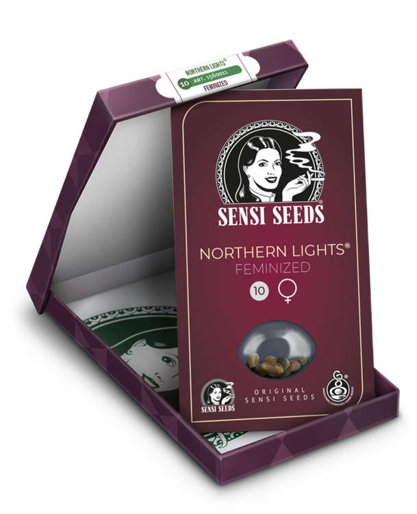 northern-lights-xl-3.png