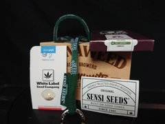 boite cnw + sensi.JPG