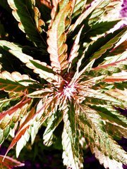 20210529_233642.jpg