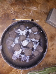 Bombes de graines 2