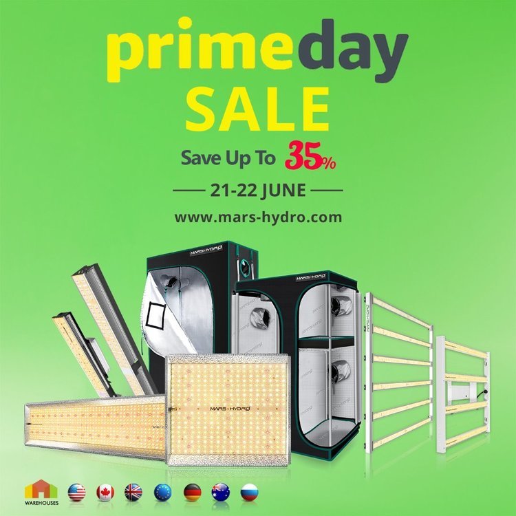 Prime Day Sale- Mars Hydro LED grow light and tent.jpg