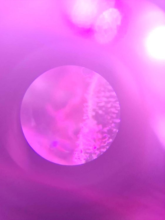20210613_082210.jpg