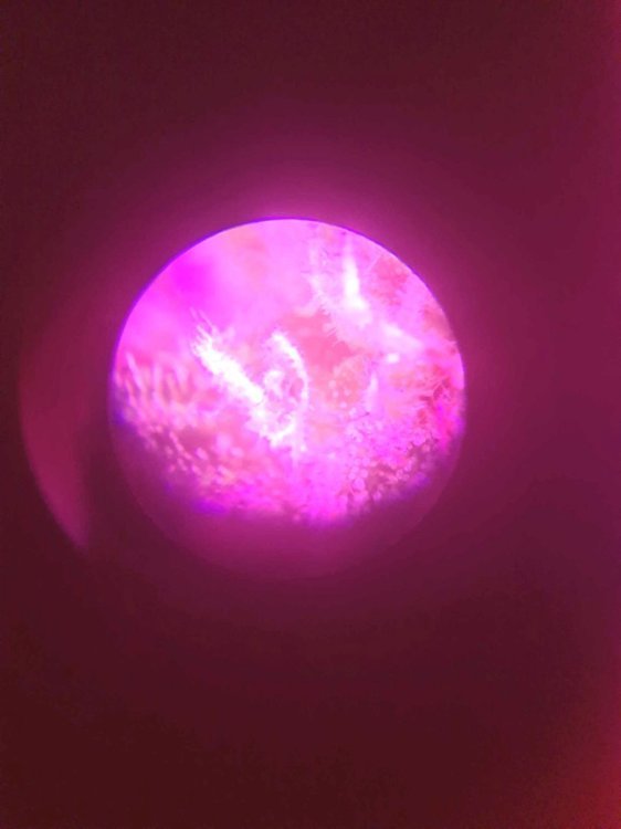 20210613_082916.jpg