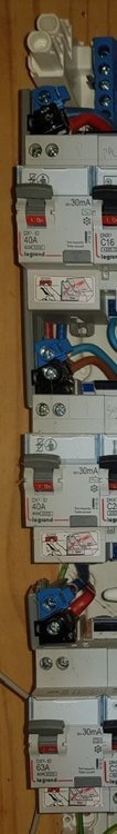 20210628_145435.thumb.jpg.00c3283195cca2a00d5ac60a17992924.jpg